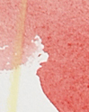 Chute (portée) 2011, encre de chine, pastel, trace blanche, papier Arches, 56 X 76 cm